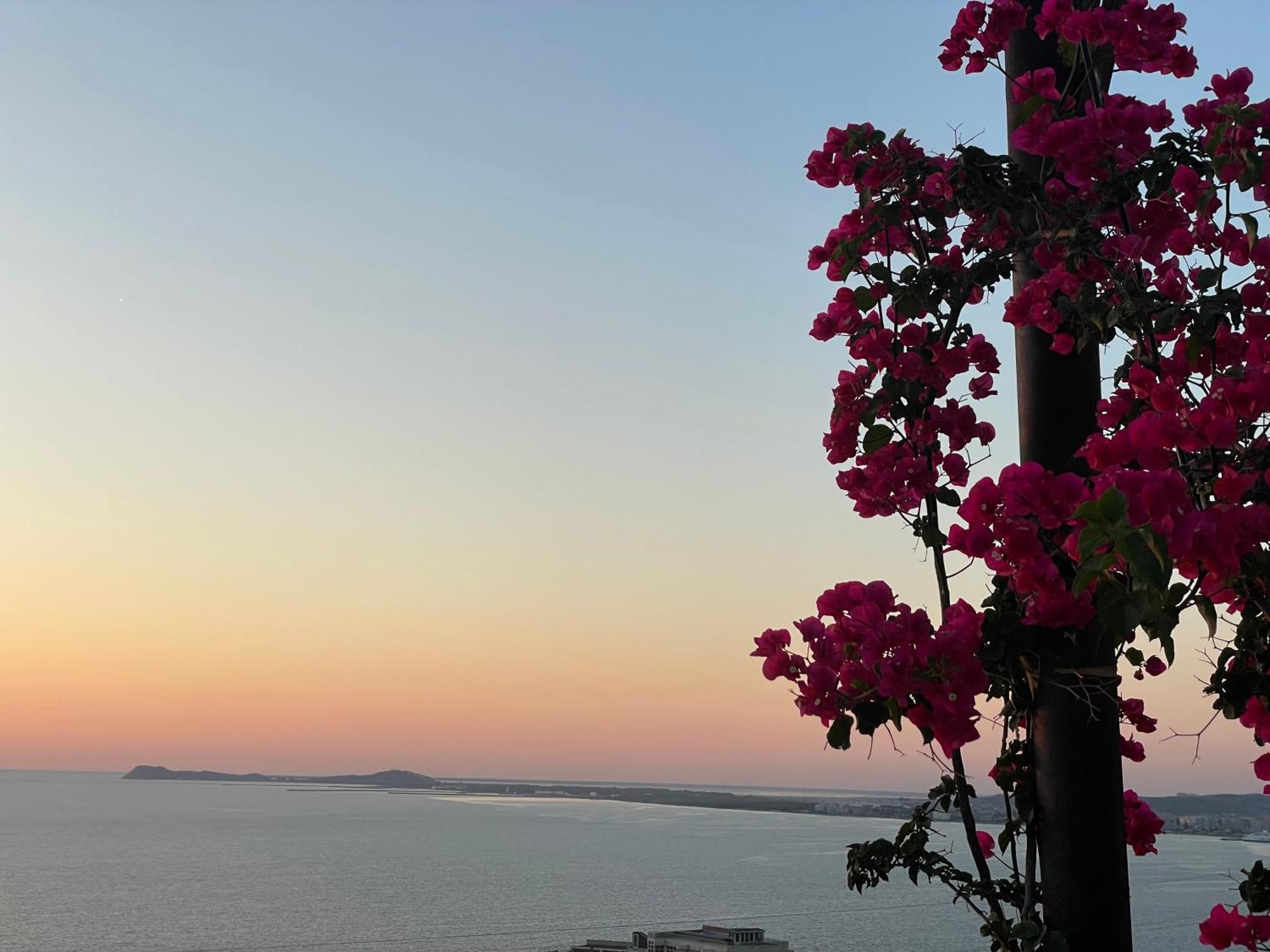 Sunset Vista Guesthouse Wlora Zewnętrze zdjęcie